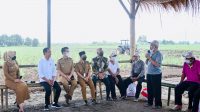 Presiden-Jokowi-Dorong-Kemandirian-Gula-Nasional-1