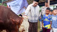Bupati roby